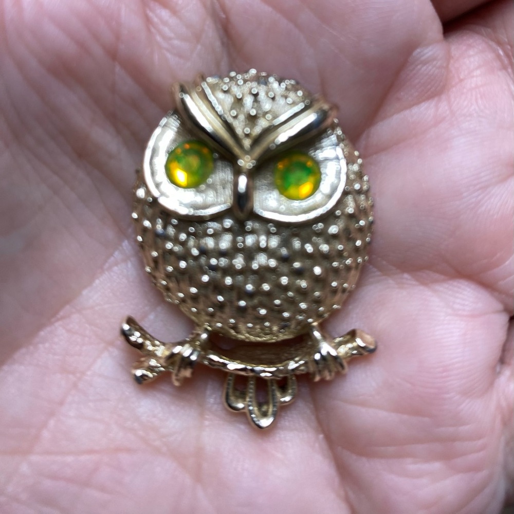 Owl pin brooch